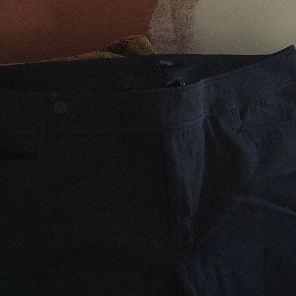 Capris - Picture 2 of 6